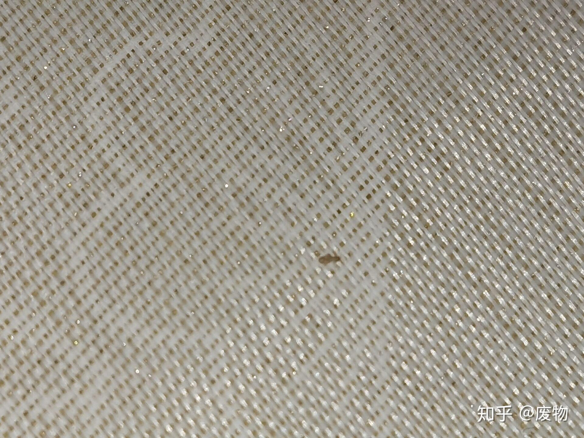 家里的墙壁上出现很多小虫子,如图,是什么虫?如何消除? - 知乎