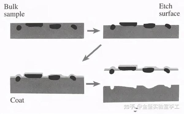 四大常见电镜制样方法简介：TEM、SEM、冷冻、金相 - 知乎