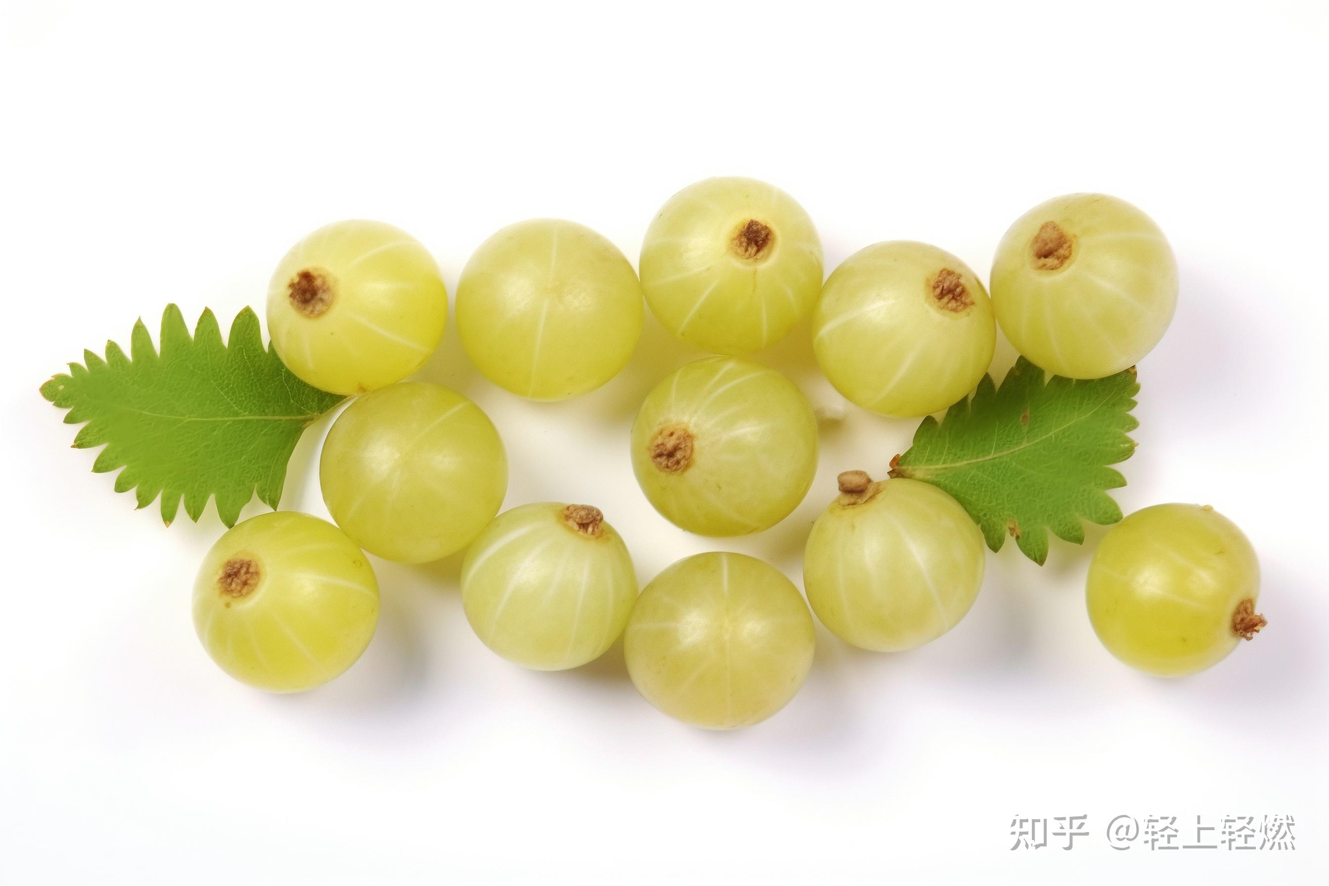 油柑为何这么火?它有何作用?