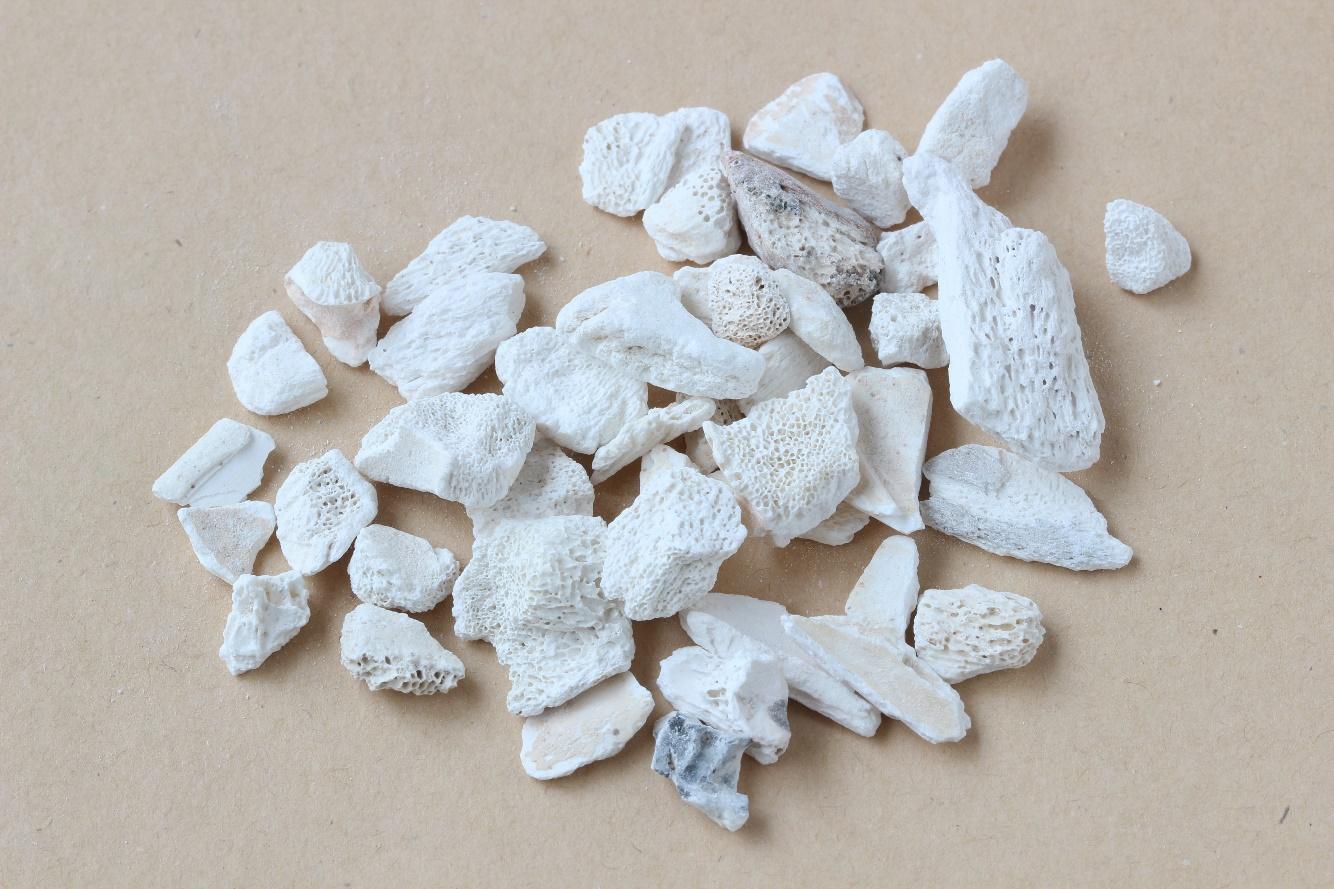 中药龙骨龙骨的现代研究现代研究表明,龙骨的主要成分为碳酸钙,磷酸钙