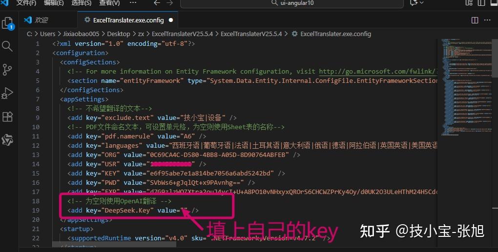 在 config 文件中替换 DeepSeek 的 key