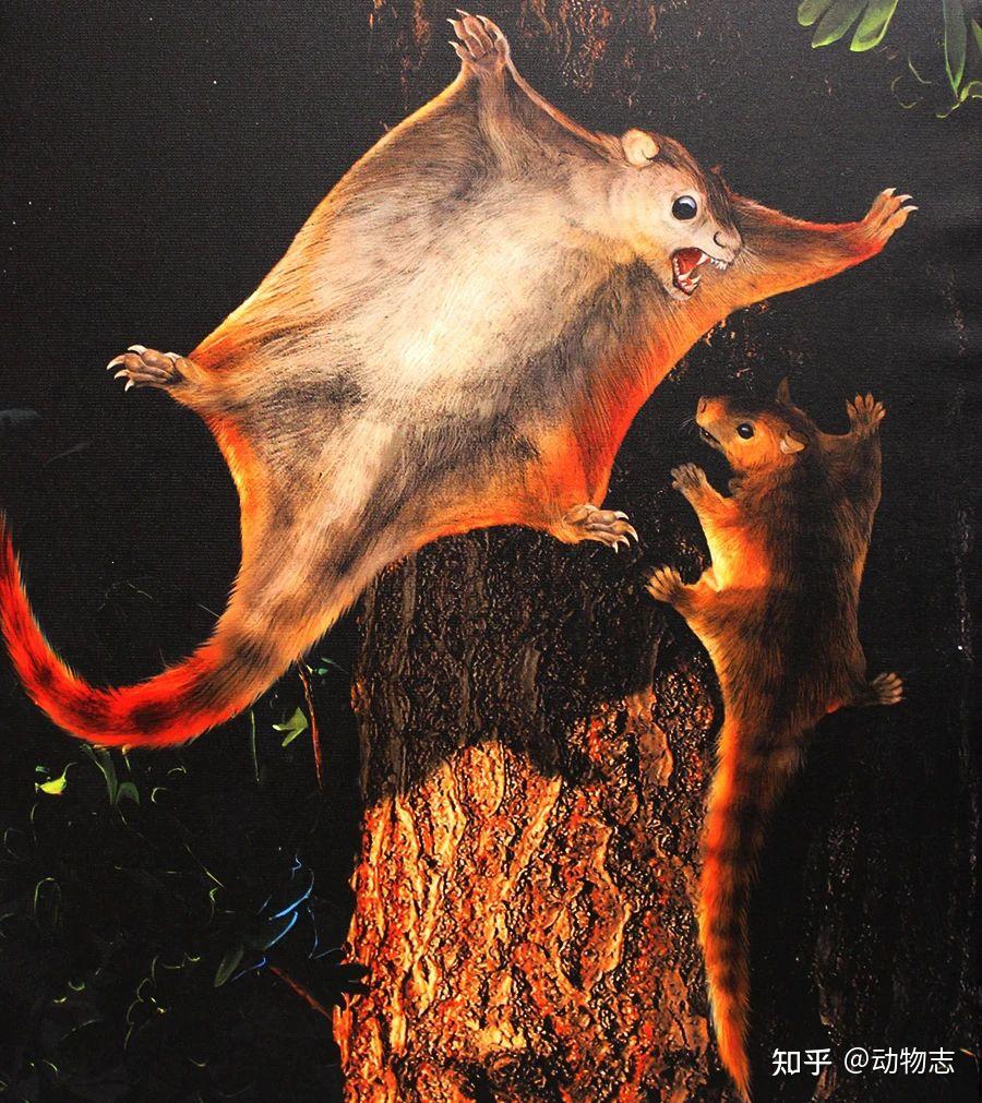 兽族永不为奴,三尖齿兽建立起反龙根据地,爬兽以恐龙为食 - 知乎