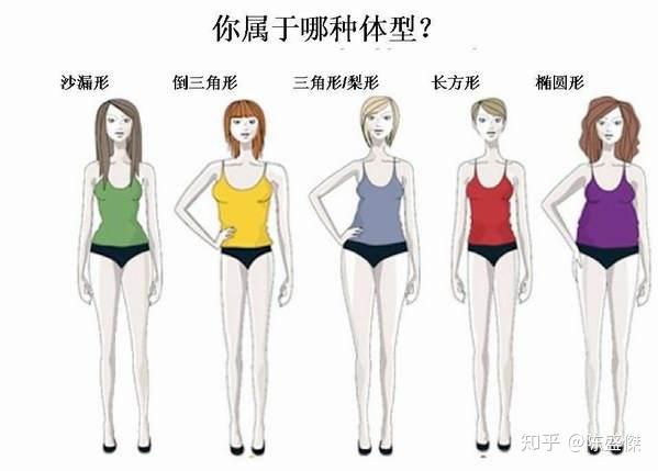 如果男性腰臀比小於0.8,女性小於0.7,就能稱為梨型肥胖了.