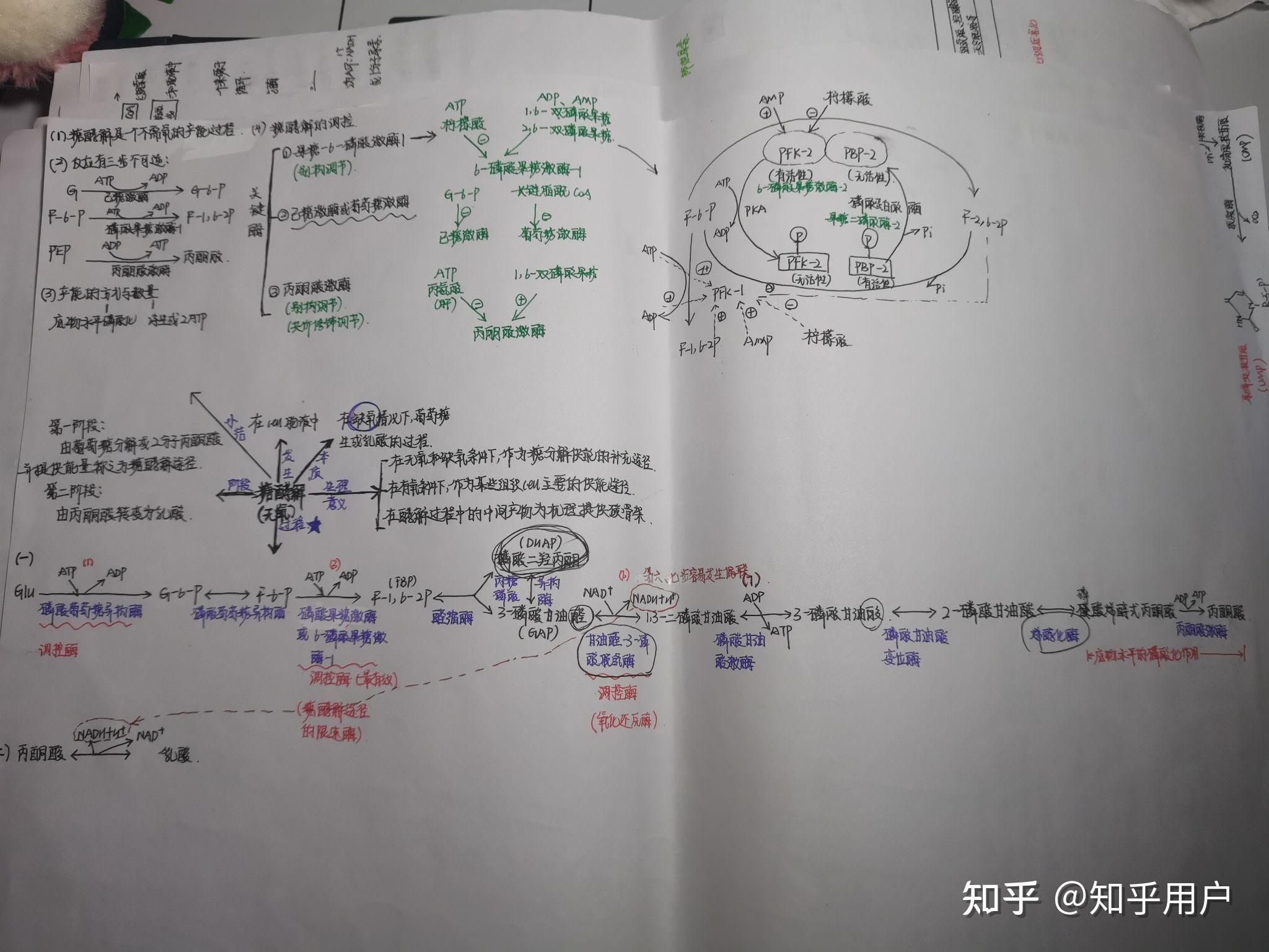 糖类的思维导图图片