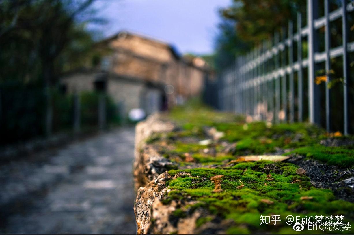 索尼sony全画幅微单35mm定焦镜头如何选