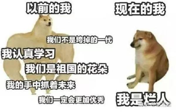 这是我收集到的cheems新图,感觉很实用 - 知乎