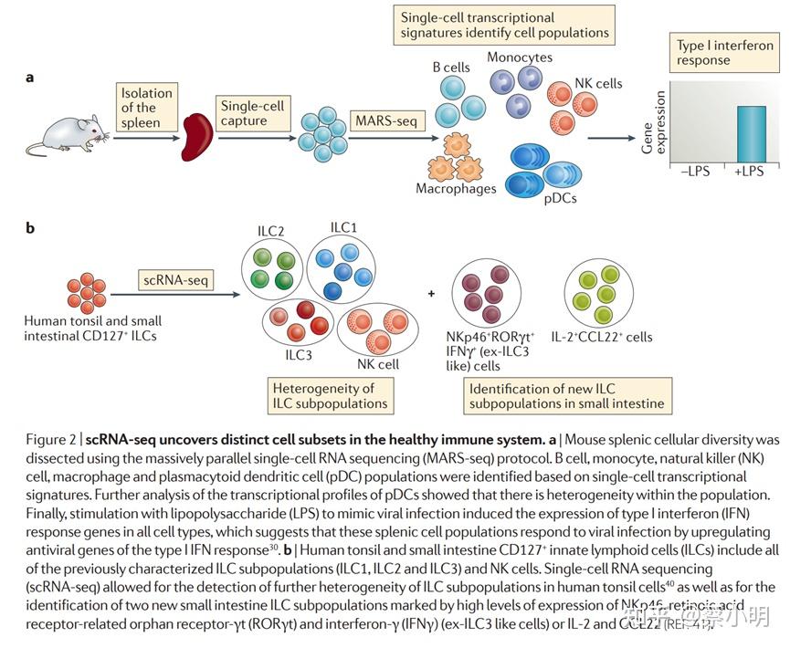 Nid Single Cell Rna Sequencing To Explore Immune Cell Heterogeneity