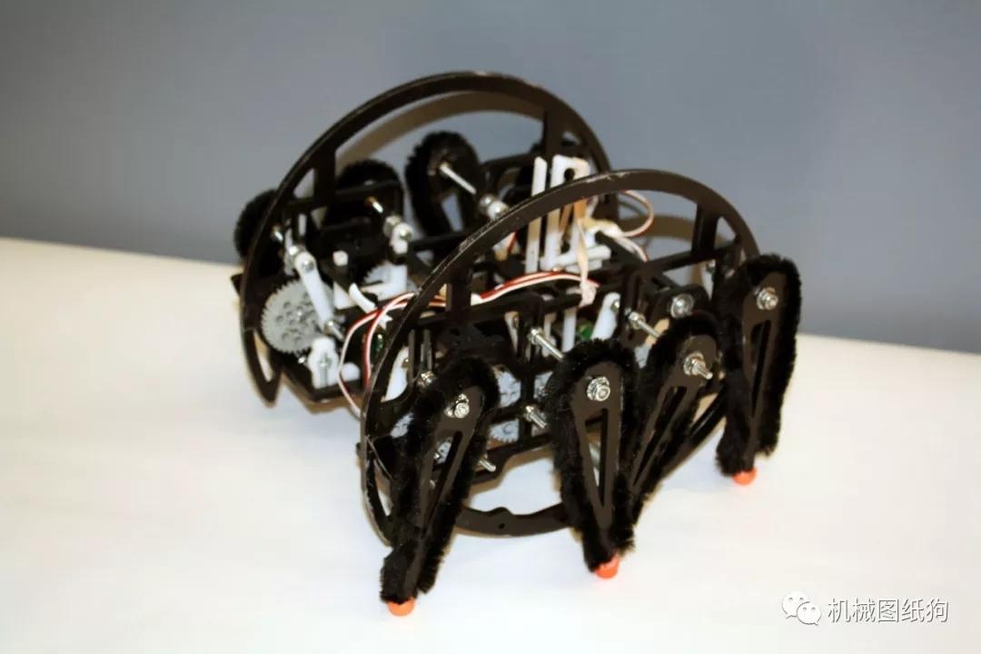 机器人仿生蜘蛛可步行可翻滚机器人3d图纸solidworks设计