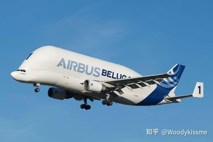 5.空客a300-600st白鲸