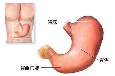 胃腸炎和腸胃炎有什麼區別