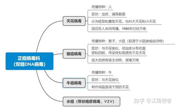 天花,猴痘,牛痘和水痘,你知道它们之间的关系吗 - 知乎