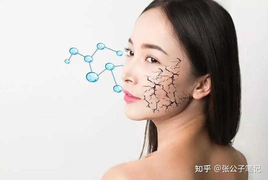 皮肤屏障究竟是什么？你不知道的三大皮肤屏障受损表现？ - 知乎