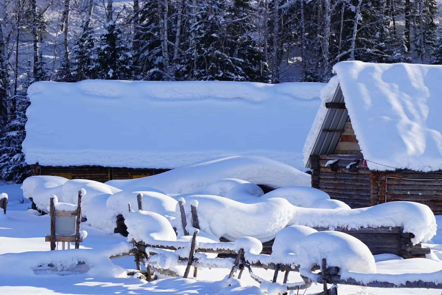 东北的冬天高清图片下载-正版图片500770125-摄图网