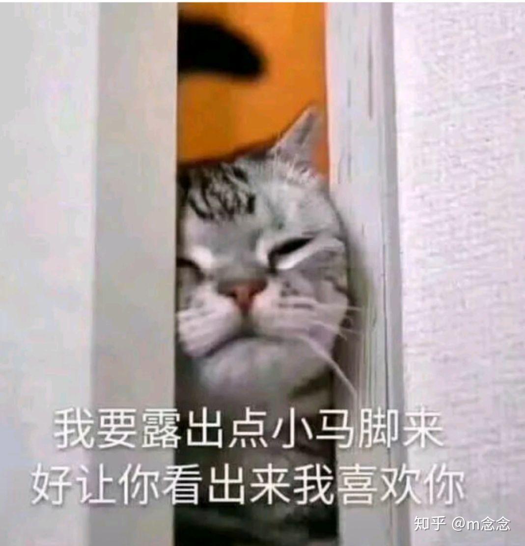 女生不吃醋代表什么不吃醋的女人挺可怕的 自媒体热点