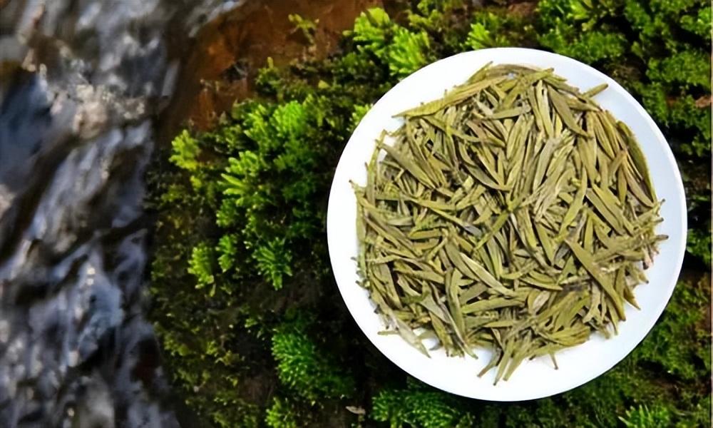 黄茶 | 黄小茶 平阳黄汤 -- 为清宫烹制奶茶的雁荡山上茶 - 知乎