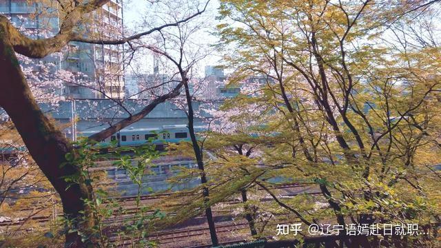 飛鳥山公園地點:東京都北區王子1-1-3交通方式:jr京濱東北線「王子」