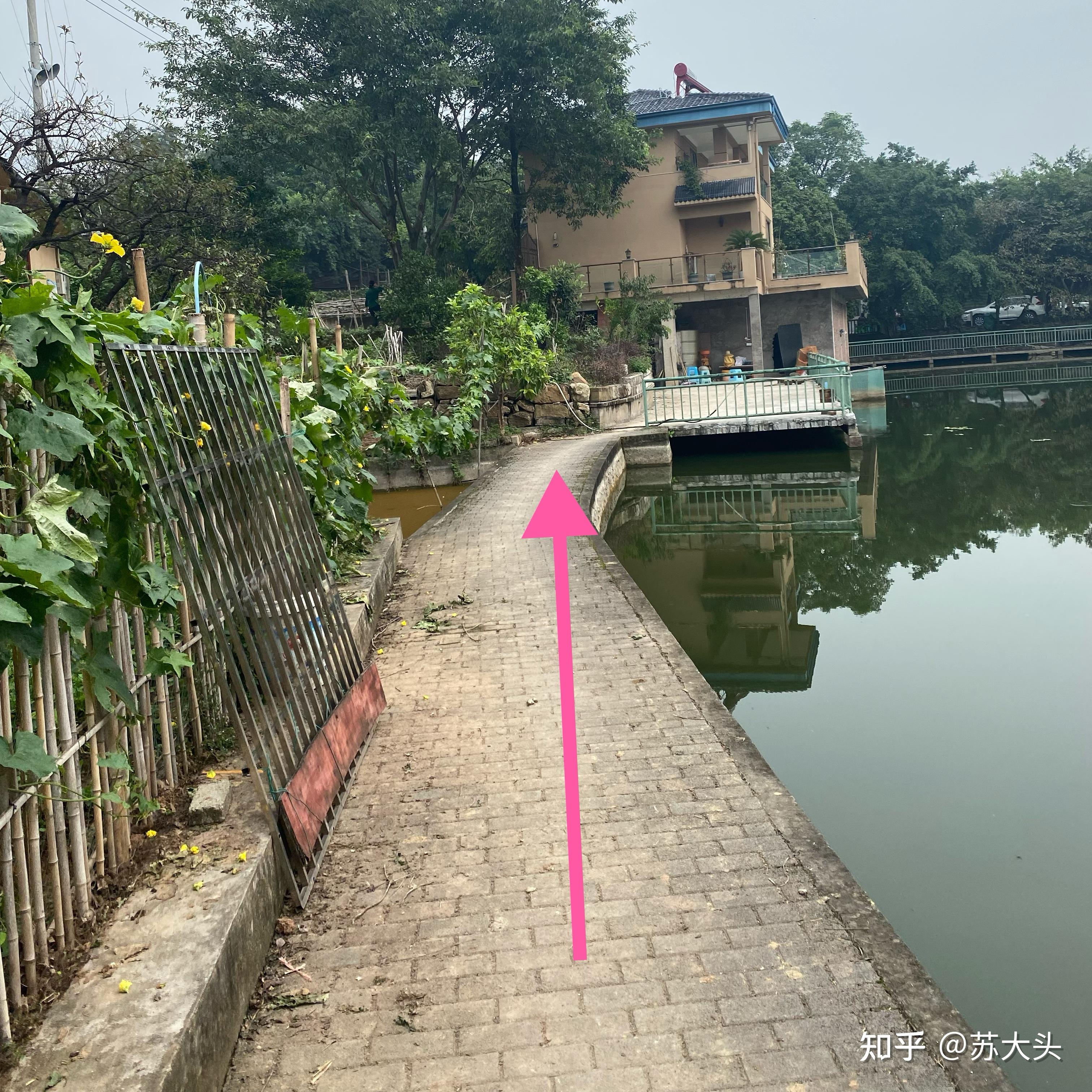 重庆徒步爬山圣地：缙云山免门票上山详细路线指引 - 知乎