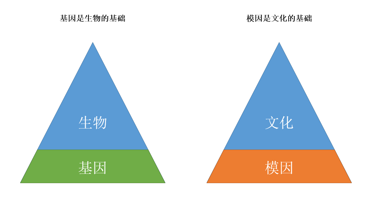 【卤豆干】病毒式营销?不如试试模因式营销