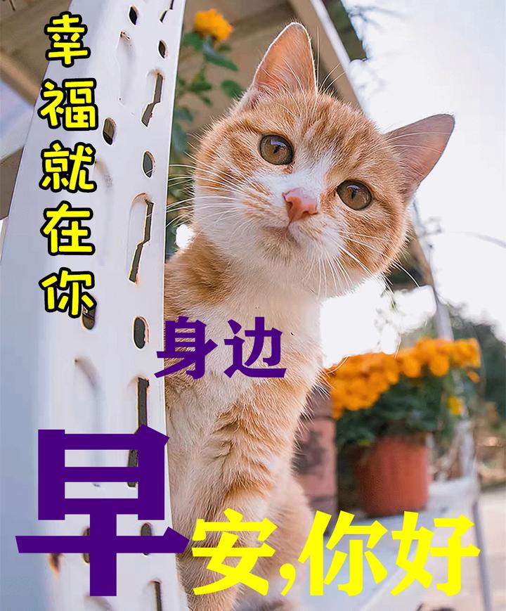 婦女節快樂表情包婦女節快樂祝福語