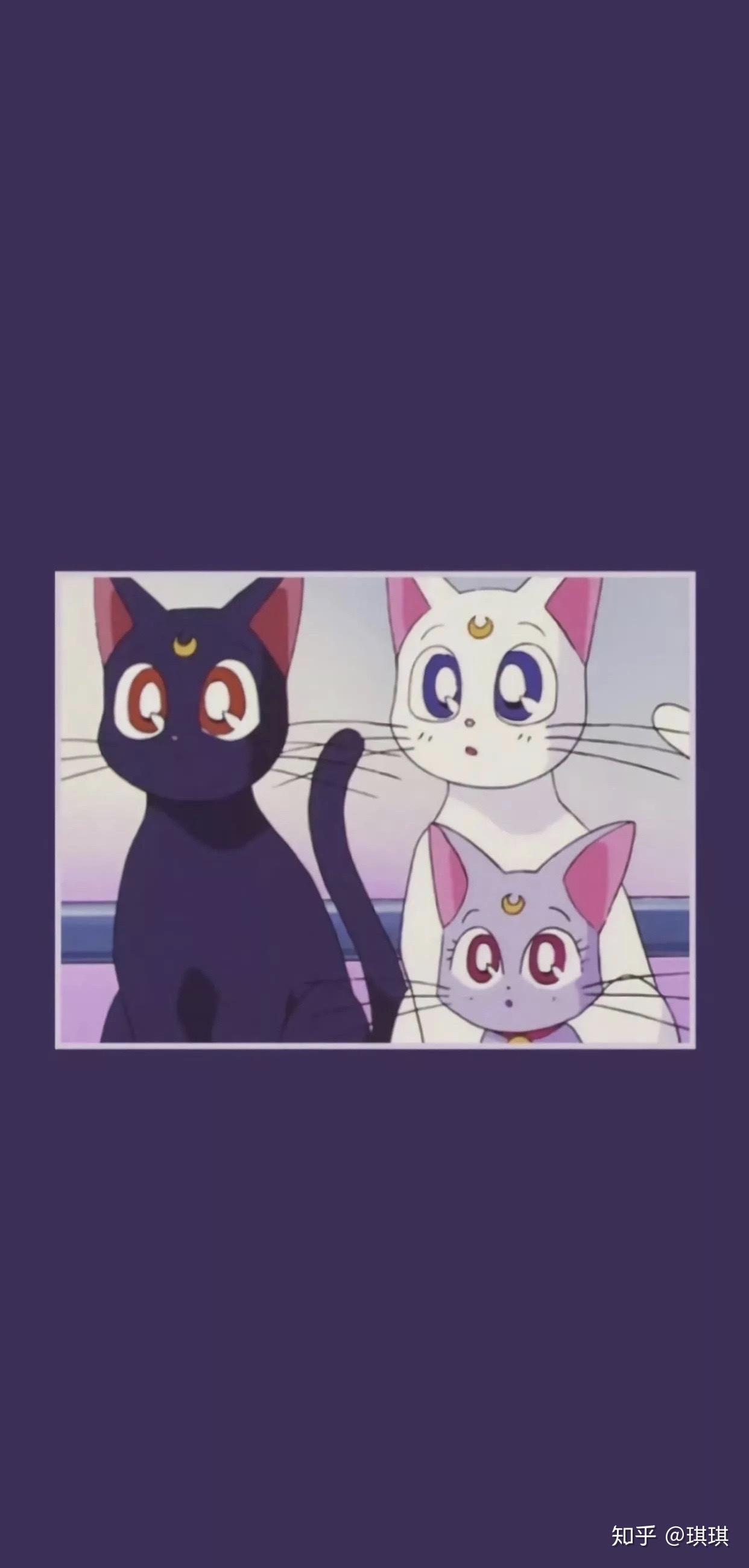 有哪些好的图片适合作qq自定义主题或者微信聊天背景?