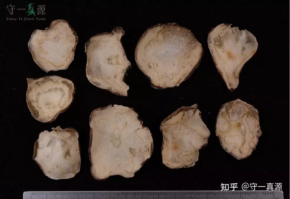 中药炮制 | 附子大毒,非用必小? - 知乎