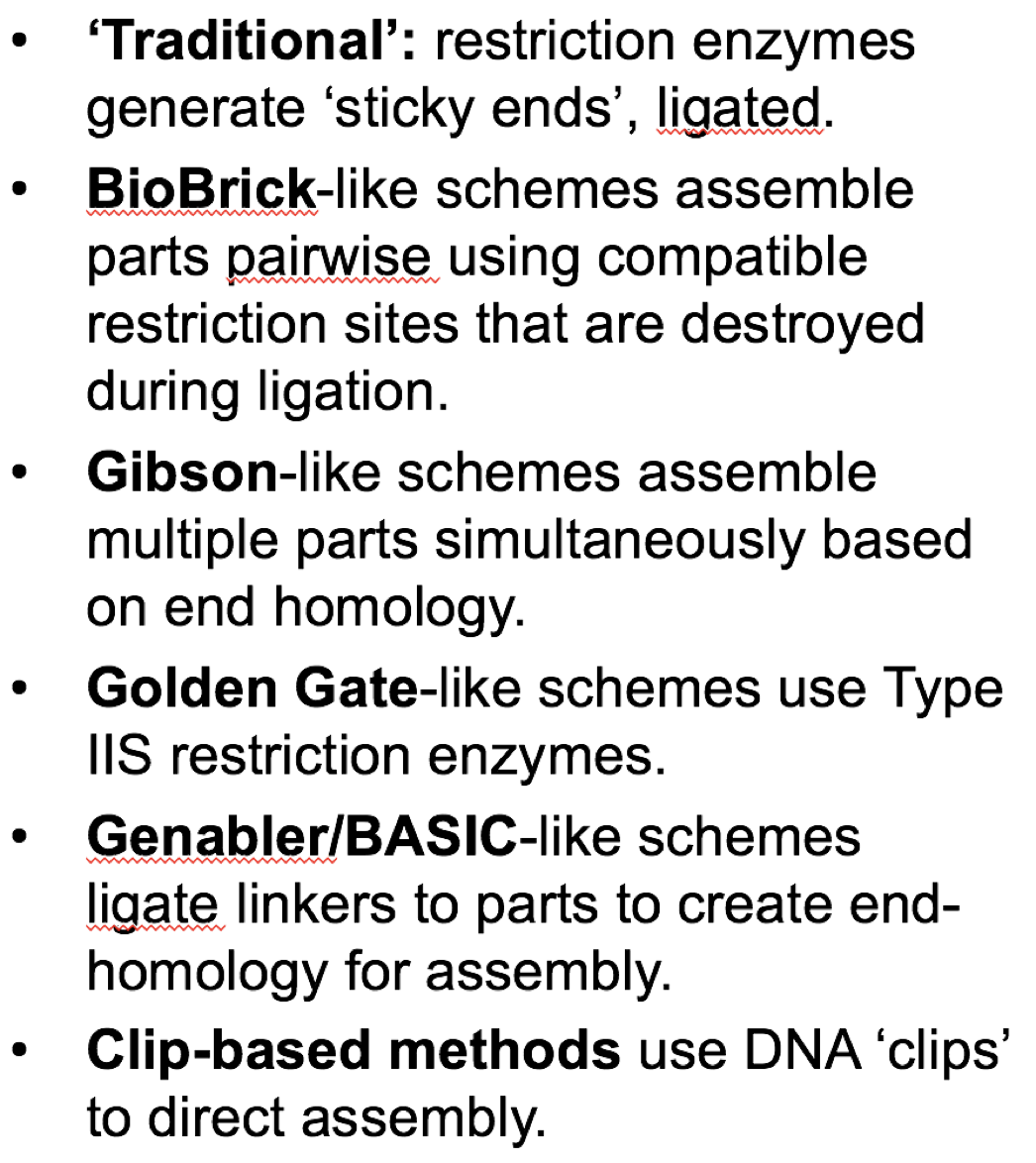 (2 dna 组装方法(dna assembly)