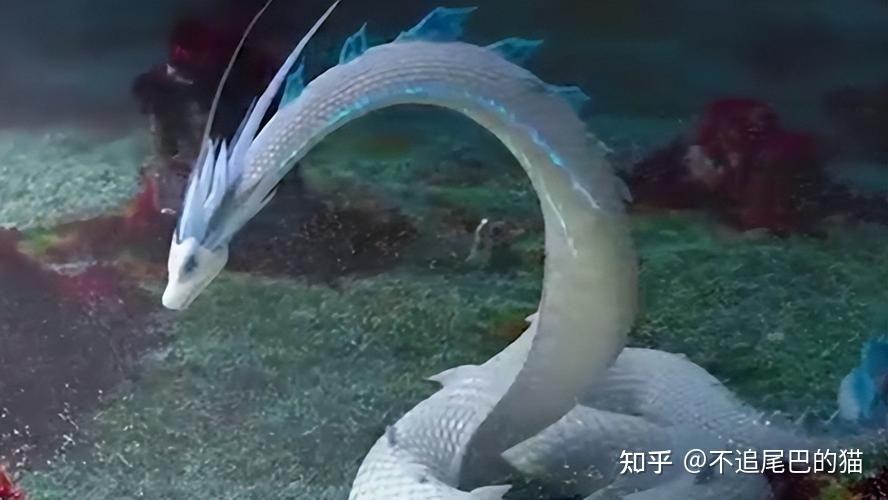 千年蛇妖,化蛟飞升?荒野为何不见蛇尸?揭秘“走蛟”的传说! - 知乎