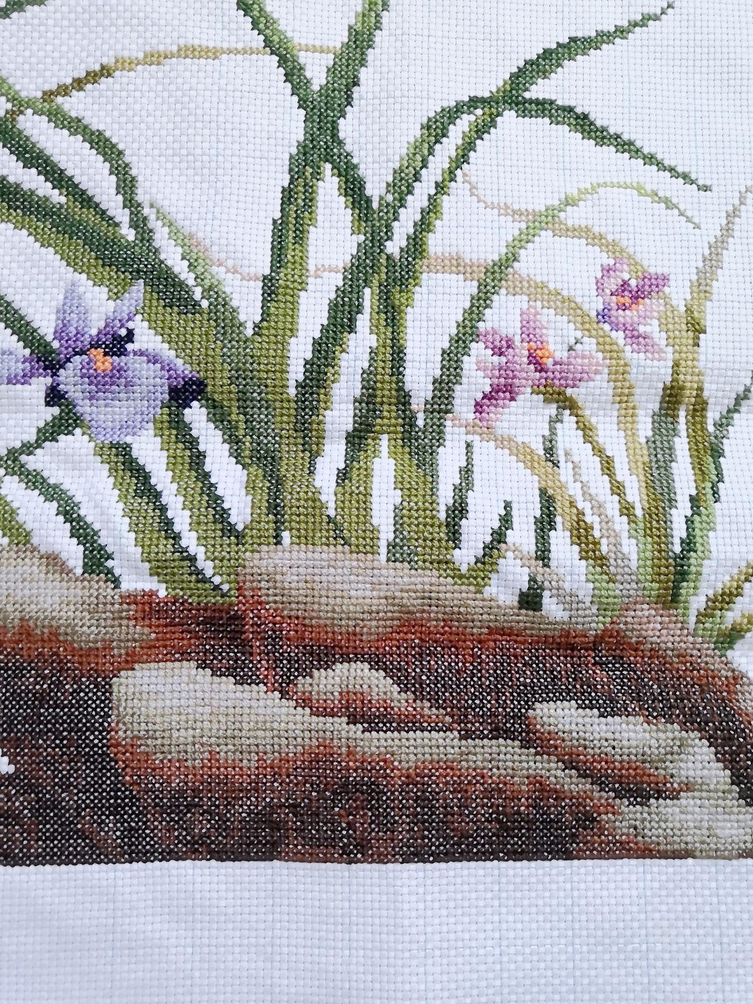 居家十字绣你会喜欢的