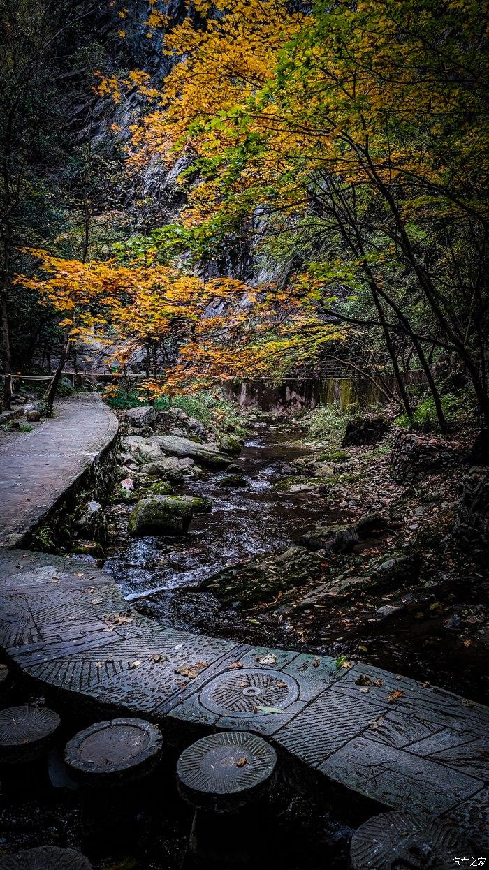 一人一唐,自驾洛南金丝峡,瞰五彩斑斓深秋神瀑峡沟