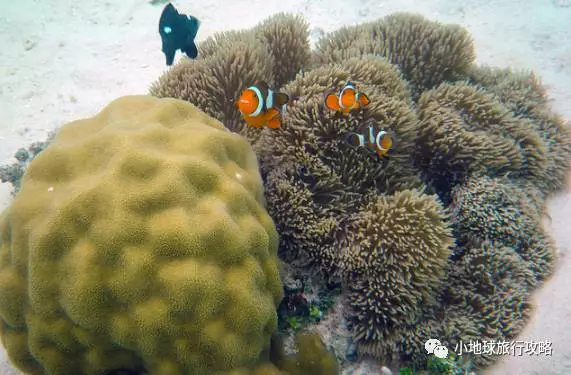 史上最好的沙巴小众旅行攻略，没有之一。