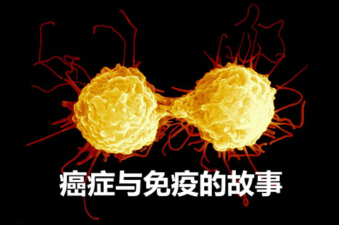 v2-6311f505aef764e6a390c149b4688807_180x120.jpg