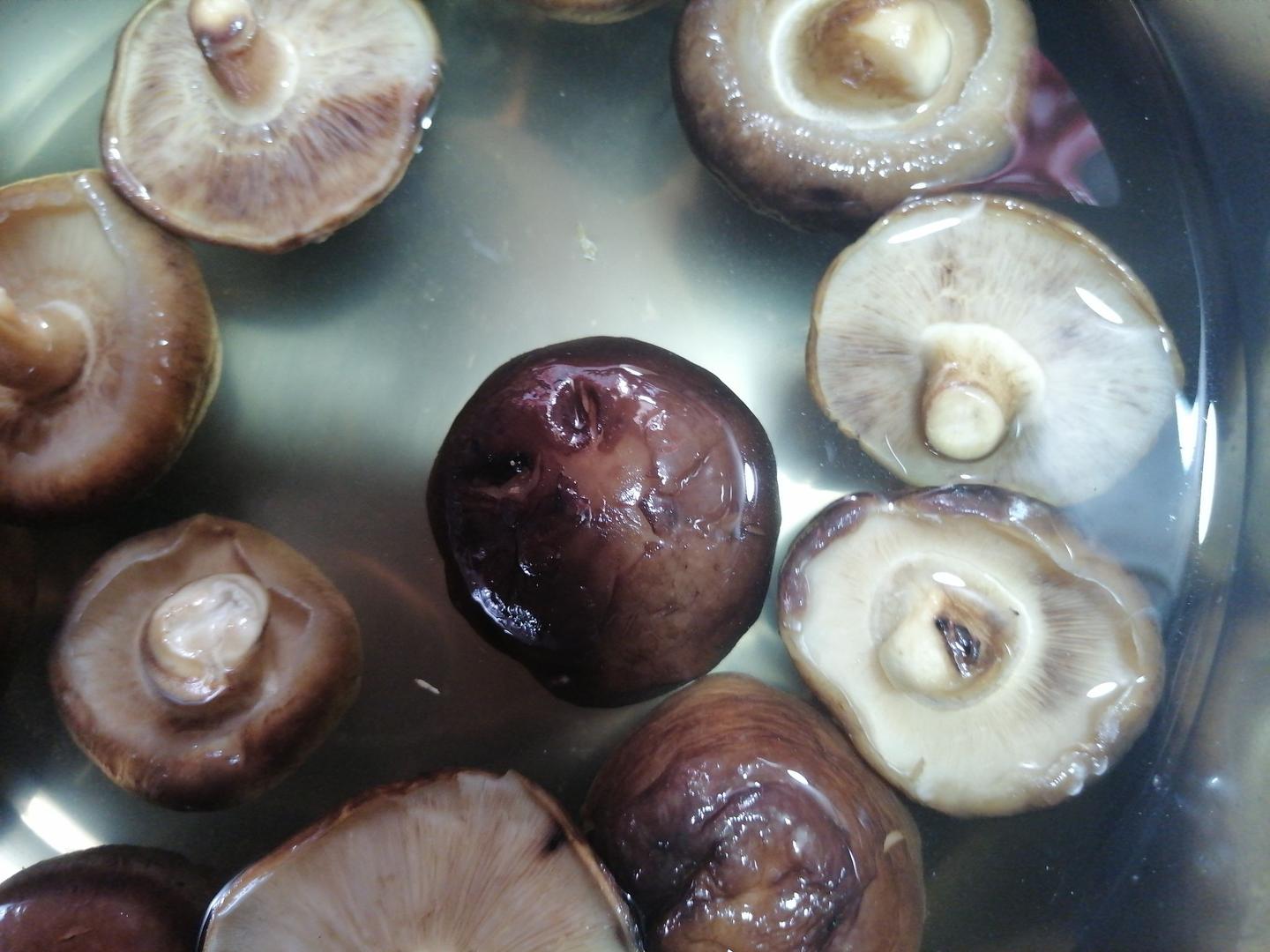 无聊到发霉的蘑菇 Creminis：这个能吃吗？还是发霉了？ : r/mycology