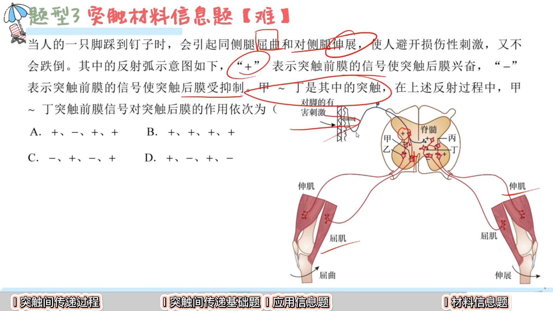 生物选一:神经调节 - 知乎