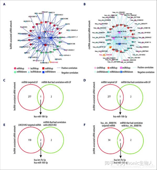 Omics精进07|转录组之mRNA|miRNA|lncRNA|circRNA测序简介 - 知乎