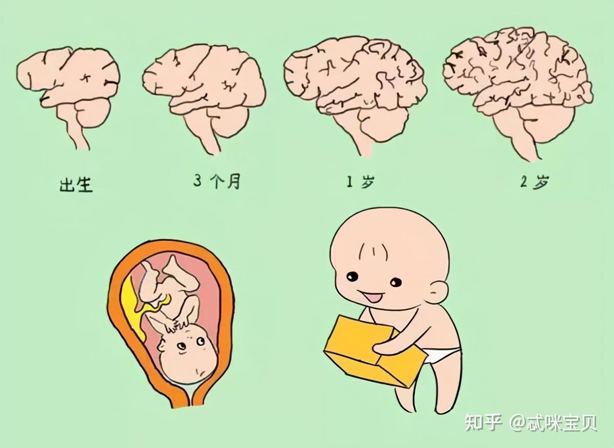 婴儿聪明的表现（宝宝有这6种行为是智商高的表现）-幼儿百科-魔术铺