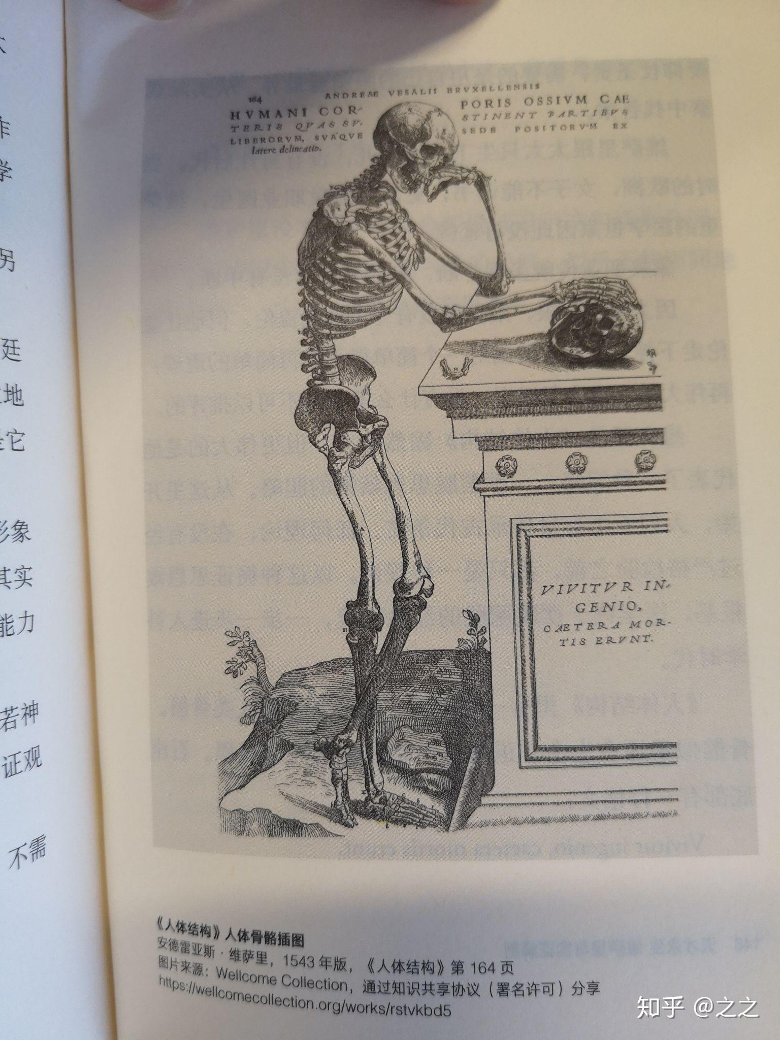 天才永生维萨里与实证解剖医学大神01