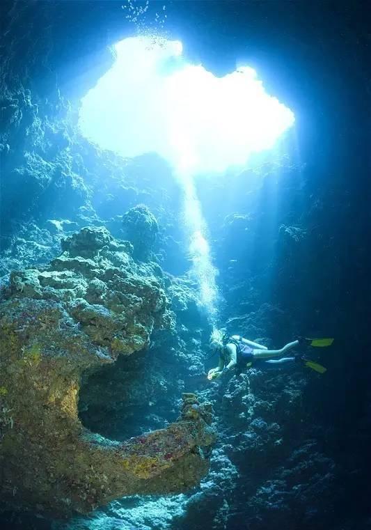 陽光旅行家穿越半個地球對話深海做任性的探險家