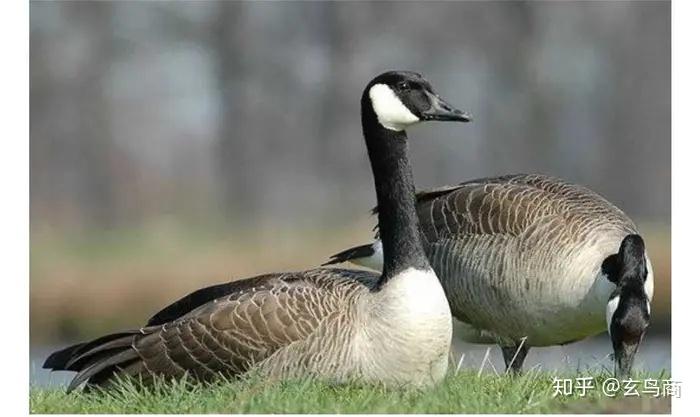 山海经东山经东次首经之山脉破解版图文版二