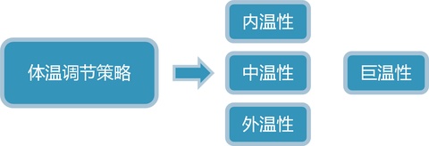 图标