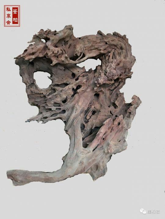 第四届醉根杯中国根雕现场创作大赛鉴柏私享会成员苏显红斩获天工奖