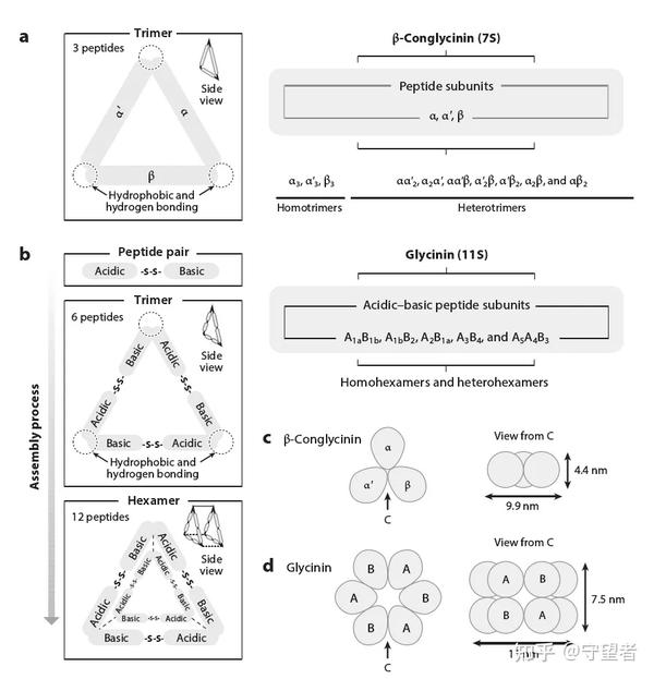 annu-rev-food-sci-t