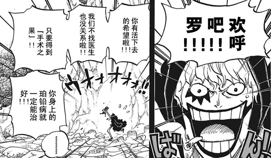 【海贼王】特拉法尔加·罗的技能、战绩、战术、目标、经历清单 - 知乎