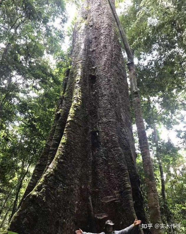 看非洲奥坎大板如何缔结中国缘