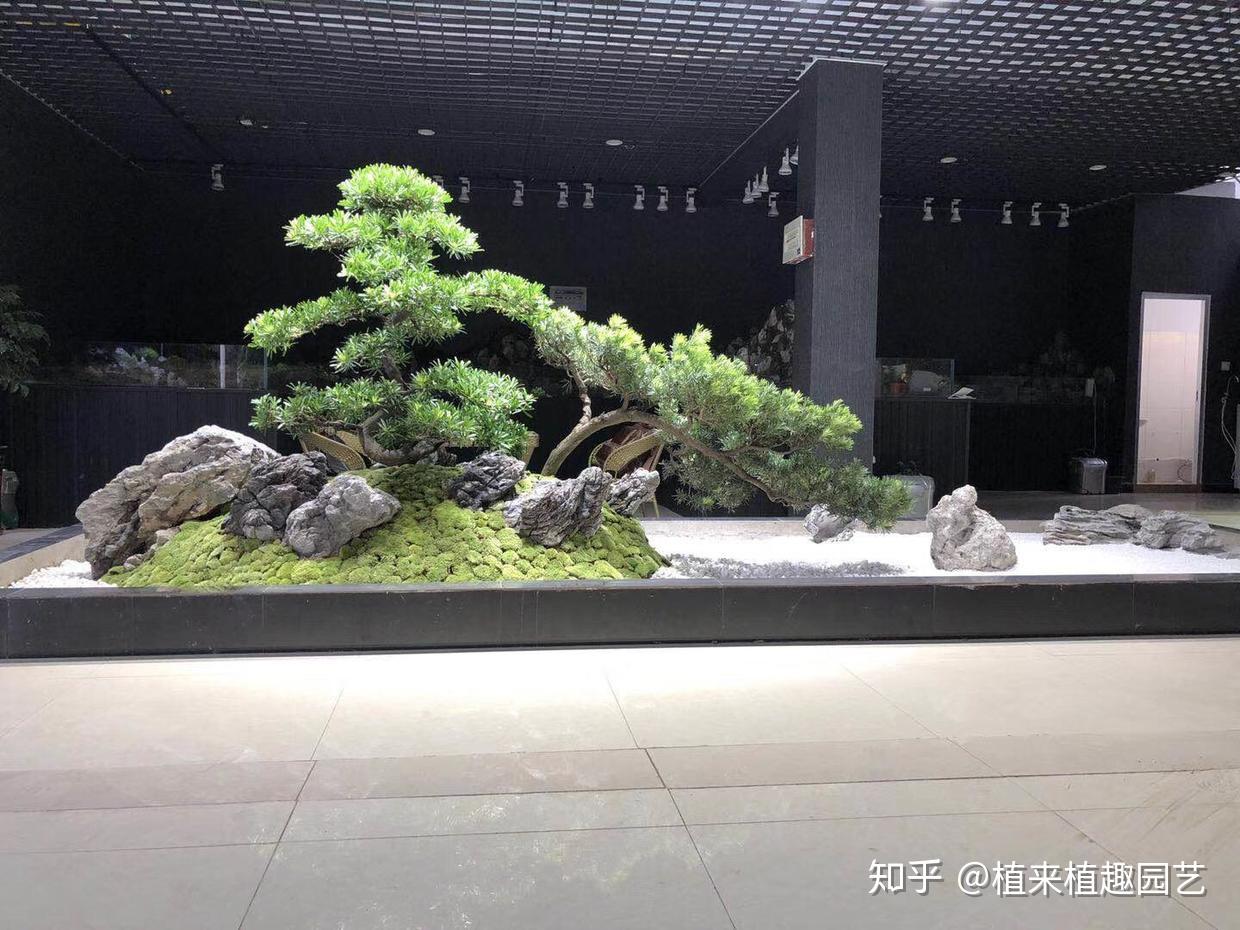 长沙枯山水室内外景观制作(案例赏析)|植来植趣 - 知乎