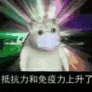 Mur猫表情包合集6 - 知乎