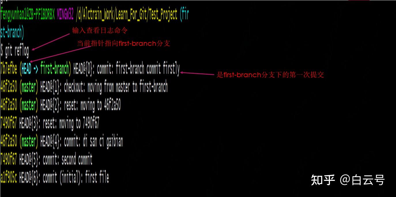 Git的基本操作(一)20 Git的基本操作(一)