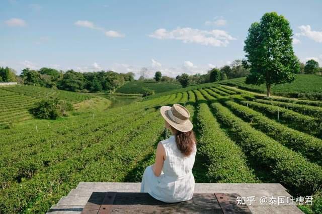 2023 泰国 10 大最佳旅游景点,第一次到泰国去哪里?玩什么?