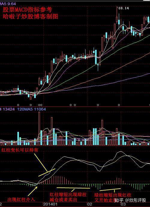 中国股市中macd的红绿柱代表着什么呢这里讲得清清楚楚