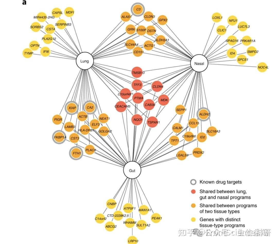 Venn网络图——基因取个交集，顺便搞个富集！ - 知乎