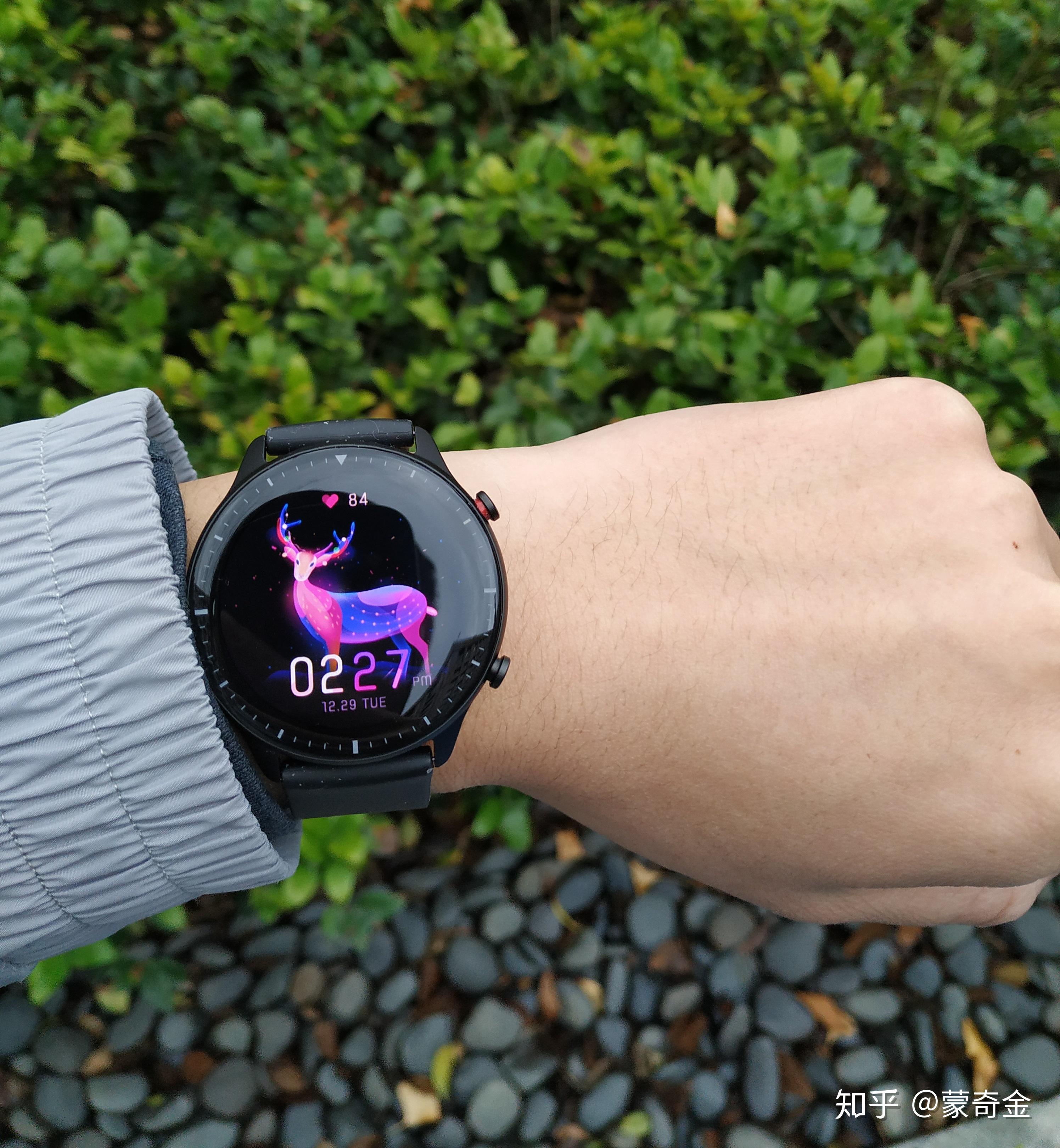 华米gtr2 两个月后深度测评